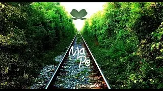 MaPe - Trip
