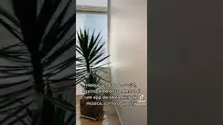 Trabalhando no TikTok #tiktok #capcut #edits #work #tutorial #saopaulo