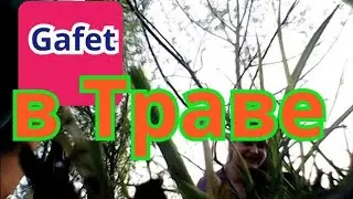 камера в траве пикник возле озера