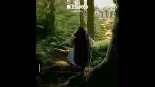 Trophy Dark: Witchwood (Part 1)
