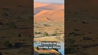 5 CURIOSIDADES EXTRAÑAS que NO sabías hace 20 segundos