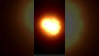 Desktop Goose + Wallpaper Engine 