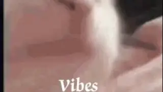 cat vibing to ievan polkka but it's sky || Sky children the of light