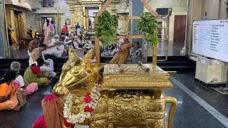 Pradosham live - 17-5-23 Wednesday