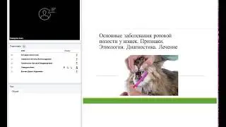 Основные заболевания ротовой полости у кошек. Признаки. Этиология. Диагностика. Лечение.