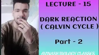 CALVIN CYCLE  ( Part - 2 )