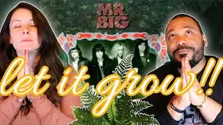 Mr Big   Green Tinted Sixties Mind *REACTION!!*