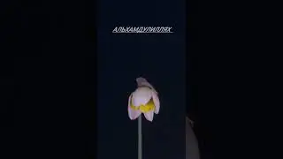 СУБХАНАЛЛАХ