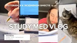 study med vlog: моя реалистичная сессия💦
