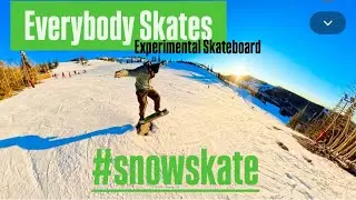 Everybody Skates Experimental Skateboard 
