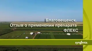Отзыв о применении гербицида ФЛЕКС, Благовещенск. ООО 