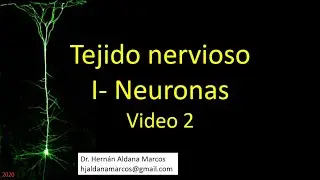 Tejido nervioso. Neurona. Parte 2 de 3. Hernán J. Aldana Marcos
