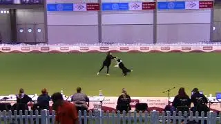 Sido & Pernilla FCI Dog Dance World Championship