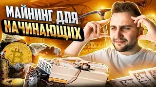 МАЙНИНГ ВСЁ?! Как зайти в майнинг с нуля в 2024 году | Актуальные майнеры