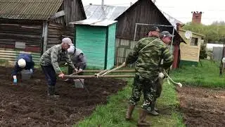Посадка картофеля сохой
