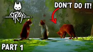 STRAY Gameplay Walkthrough on PC - Part1