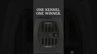 MIDNIGHT GIVEAWAY
