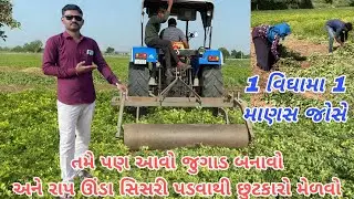 જમીનમાંથી મગફળી કાઢવાનું મશીન | जमीन में से मुंगफली निकाल ने का मशीन |Tractor (@khedutmitra6210 )