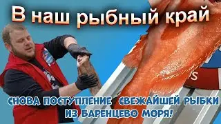 В наш рыбный край снова поступление свежайшей рыбки из Баренцево моря!