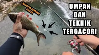 BREAKING THE MONSTER WADER RECORD!! Fishing for wader using bottom techniques and a magical bait ...