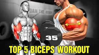 Top 5 Bicep Workout at Gym For Big Arms
