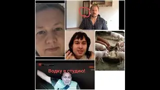 Блогеры кукловоды и КИБЕРБУЛЛИНГ.