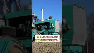 Любимые поля ❤️😁🚜🌱 #сельскоехозяйство #село #агро #урожай #деревня
