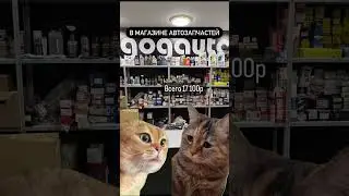 Хотя мы бы в каком-нибудь золотом яблоке так же бы себя вели 😂
