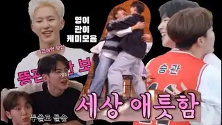 [세븐틴/호시/승관] 영이와 관이 모음