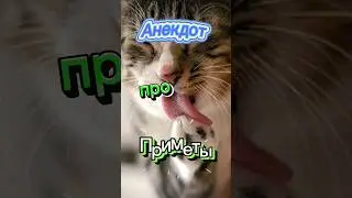 Анекдот про Приметы🤣🤣🤣🤣
