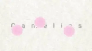 Camélias - Shiki