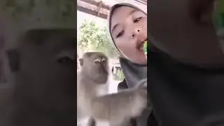 Memes from TikTok