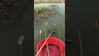 Рыбалка по Китайский