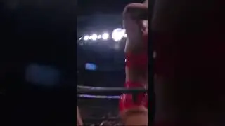 Toni storm vs Jamie hayter match aew women championship