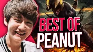 PEANUT 