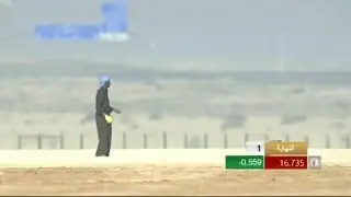 F3-K | Falconry |Falcon Race Dubai| Falcon Race UAE|