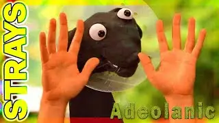 Strays - Coffin Dance Song Meme COVER | Adeolanic