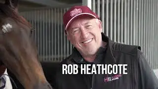 Be a Winner this Spring, Join the QLD Rogues and secure exclusive owner info from leading trainers