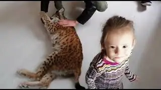 Саша в гостях у Рыси