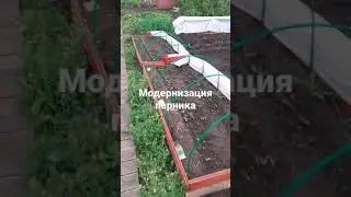 Парник типа хлебницы