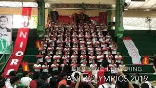 Animolympics 2019: Grade 9 Bench Cheering