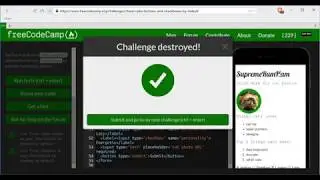 Check Radio Buttons and Checkboxes by Default- freeCodeCamp HTML5 and CSS lesson #33
