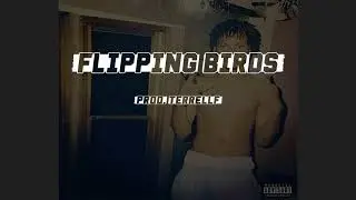 Waka Flocka x Gucci Mane Type Beat|Flippin Birds (Prod. Terrell F)