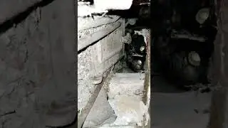 виськась