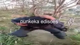 punkeka edisoes