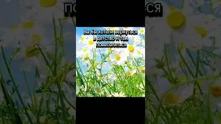 Задаю вопросы к лету день 5