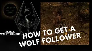 Wolf Follower Skyrim How to recruit