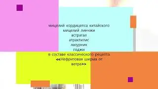 Легенда Феникса