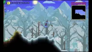 Terraria & QnA (Part 2)