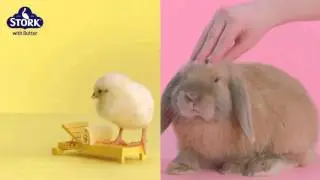 #StorkChick vs #StorkBunny: The Fluffiest Easter Ever with Stork